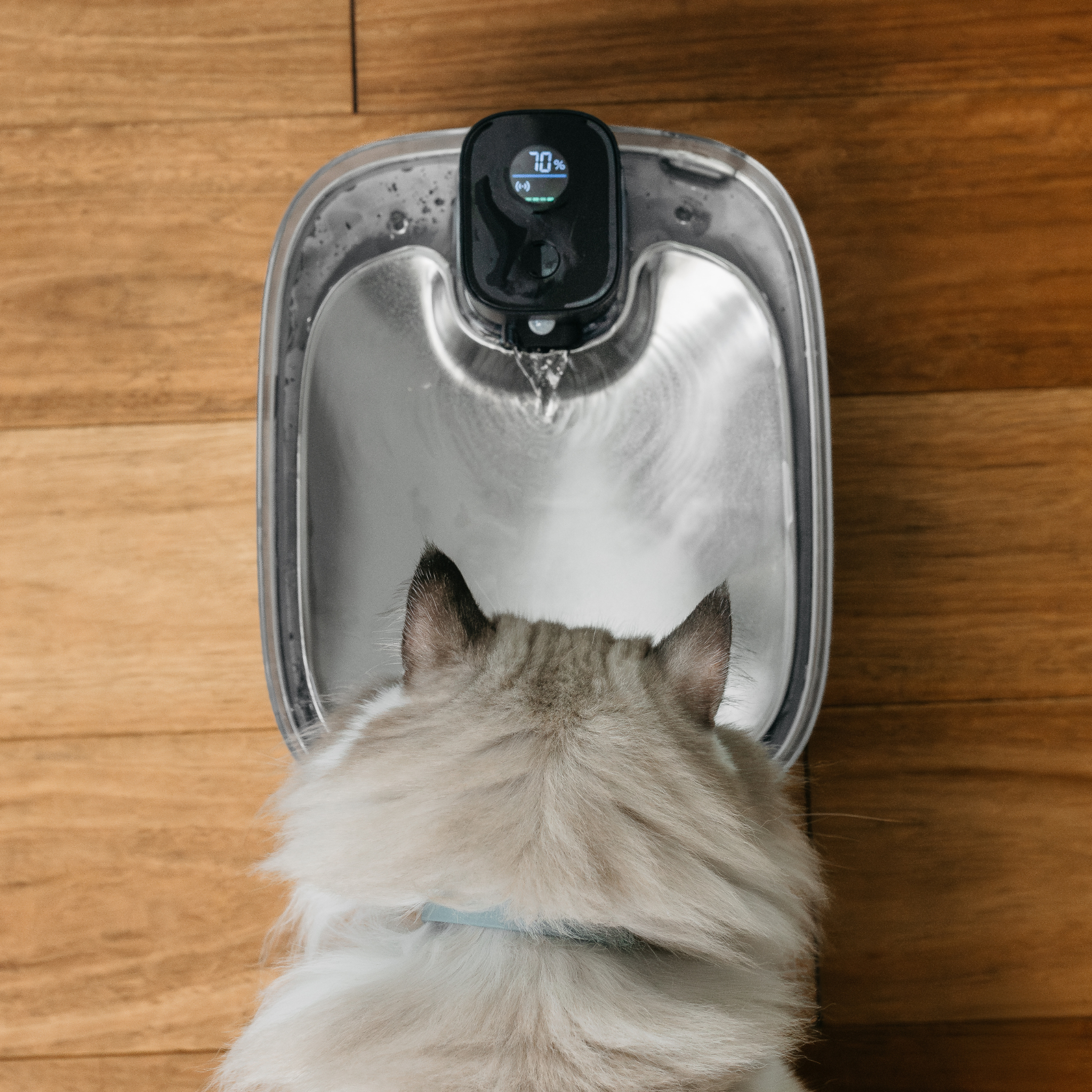 VitalFlow™ Pet Fountain