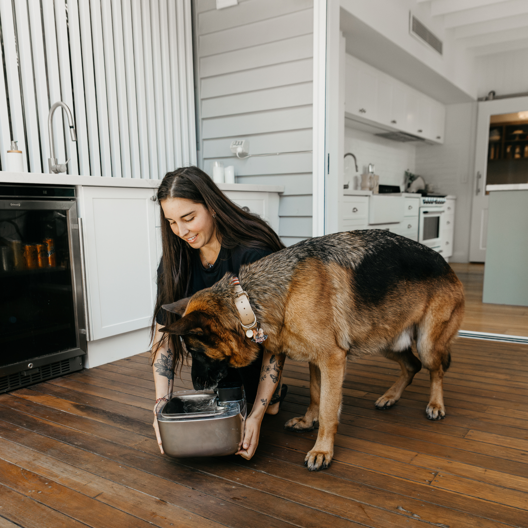 VitalFlow™ Pet Fountain